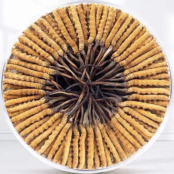 人民路街道冬虫夏草回收